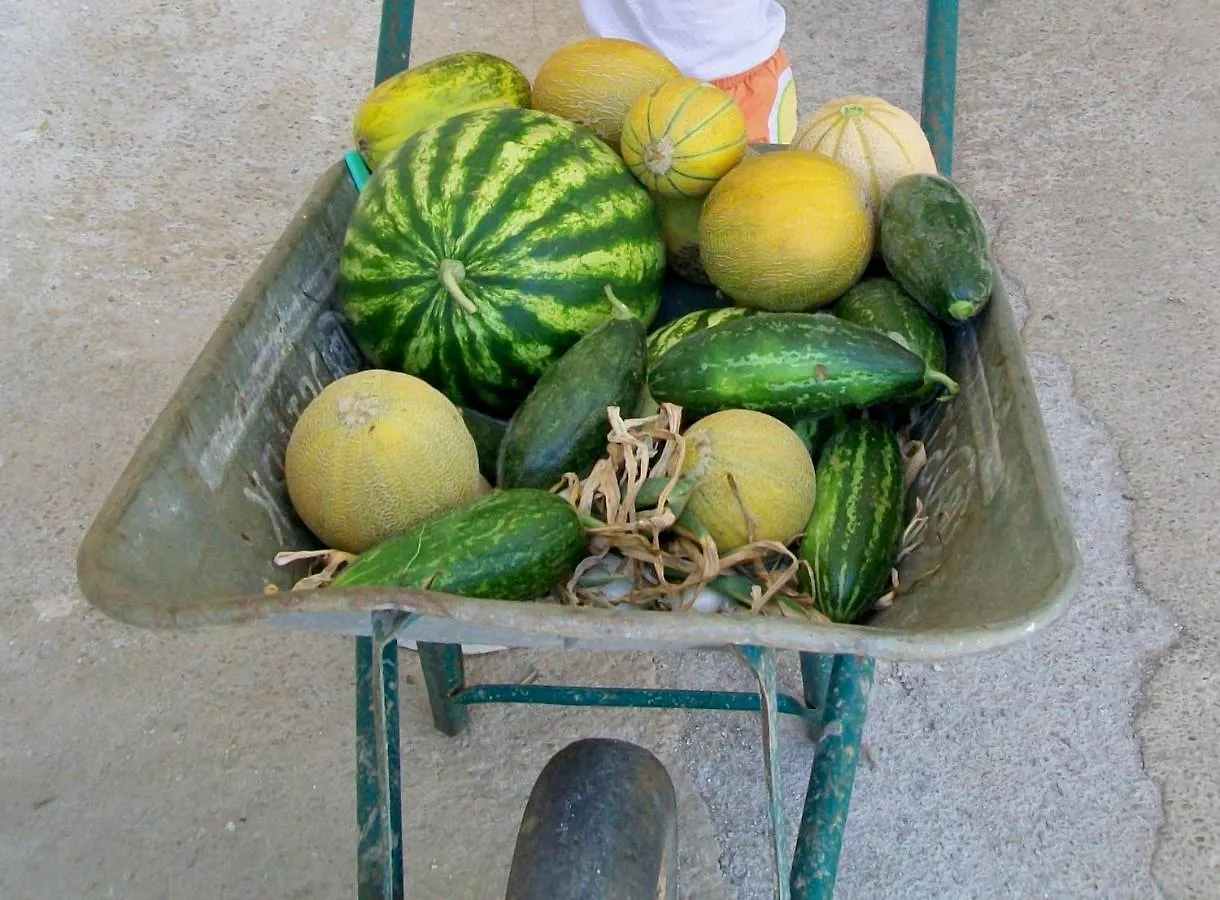 Masseria La Lizza - Ospitalita Rurale Lecce 0*,