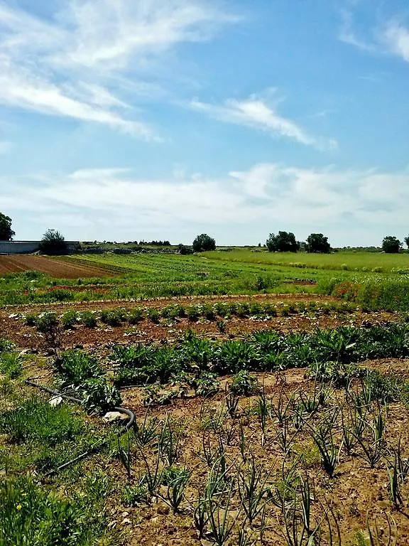 Masseria La Lizza - Ospitalita Rurale Lecce Farm stay