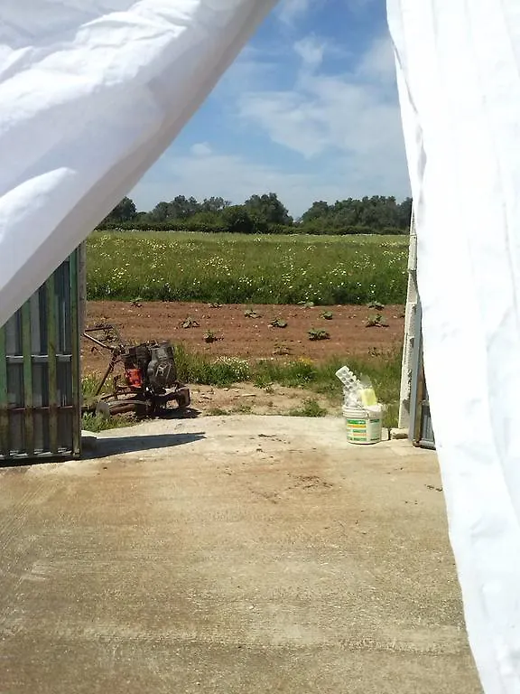 Farm stay Masseria La Lizza - Ospitalita Rurale Lecce Italy